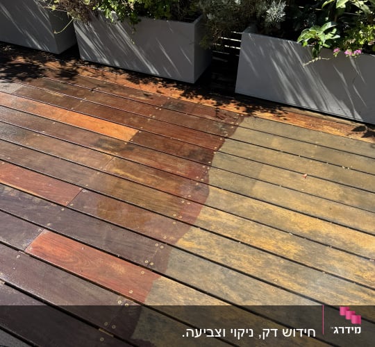דק עץ עם צמחים בעציצים על רקע שמש